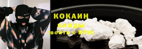 индика Балабаново