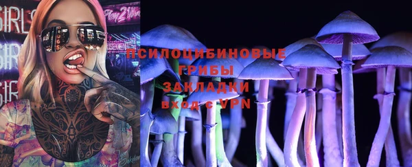 индика Балабаново