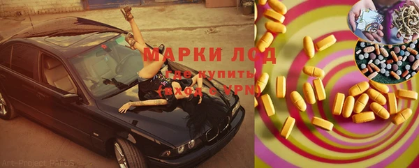 трава Аркадак